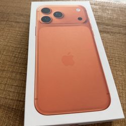 iPhone Pro Max
