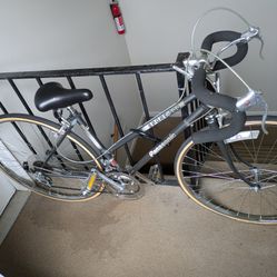 1980s Vintage Panasonic Sport 500 Women's Bike