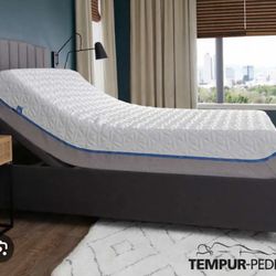 King Tempur-pedic. Asking 600 for the $3000 mattress set