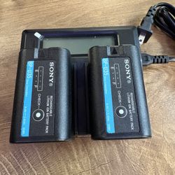Pair of Sony BP-U35 Batteries (with Wasabi Charger)