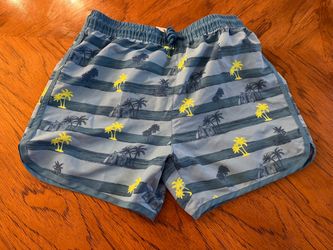 Boys Canada House (CNDH) Bathing Suit - Size 16A/Y 162 cm - Mostly Blue with Stripes and Palm Trees
