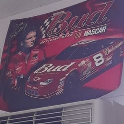 Signed Collectible Hood Dale Earnhardt Jr. Collectible Hoodof