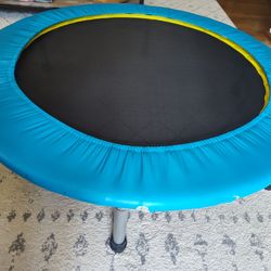 36" Rebounder