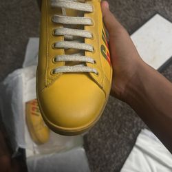 Gucci Ace Shoes 