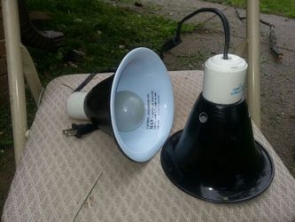 Terrarium lamps