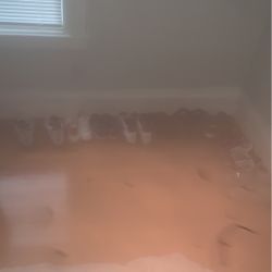 Jordan 14 Candy Cane(size 12) Carmine 6s 2014 Release(size 12)