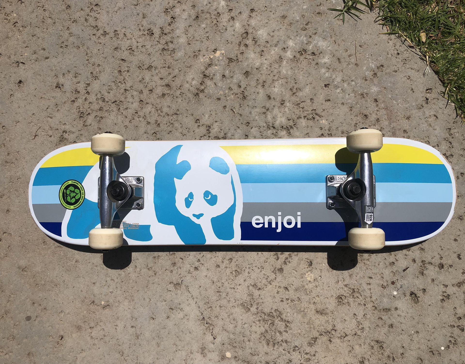 Youth Skate Board