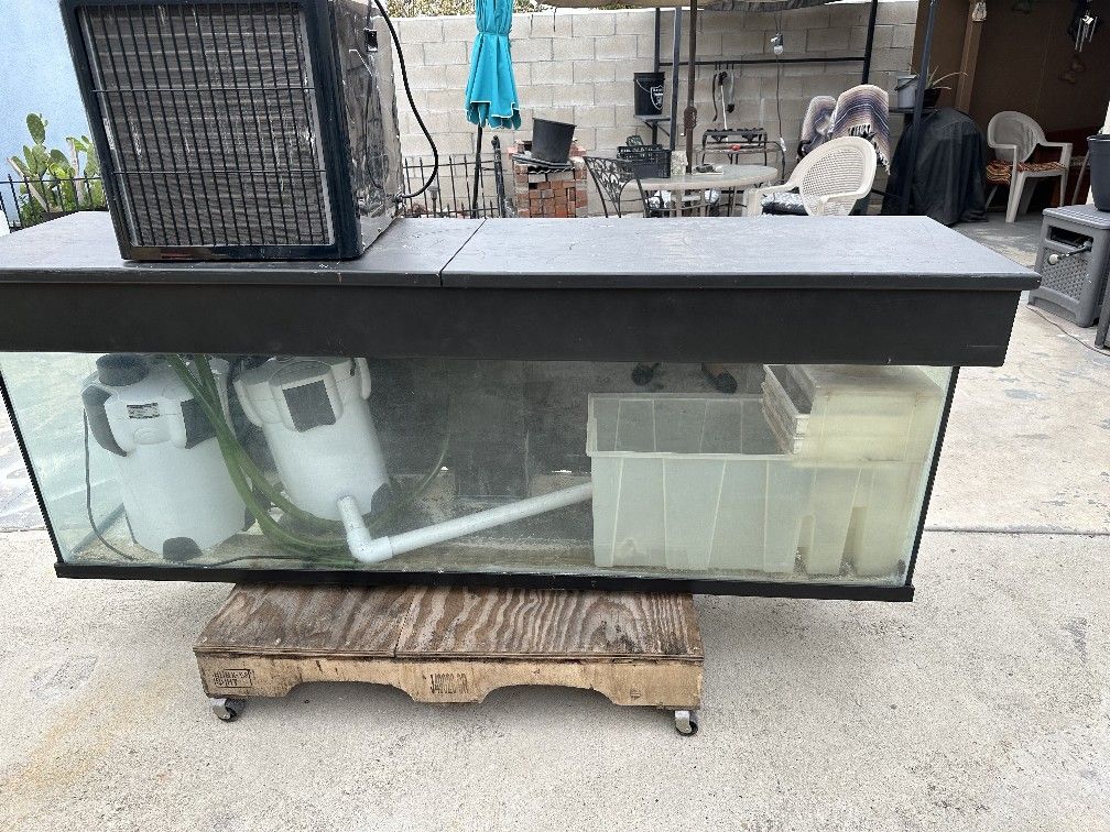 120 Gallon Fish Tank Set Up With 2 Huge Filters And Water Cooler