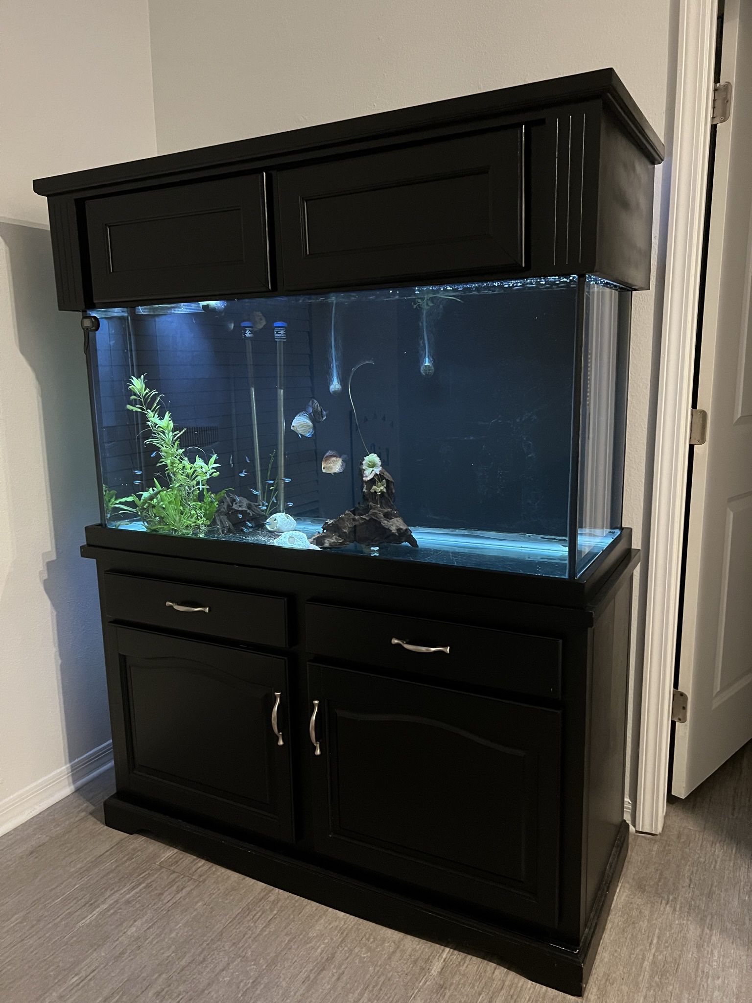 Fish Tank Aquarium 110gal