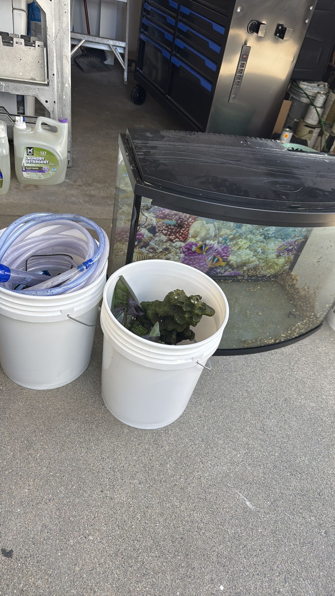 Fish tank with supplies