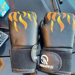 BOXING GLOVES O.B.O