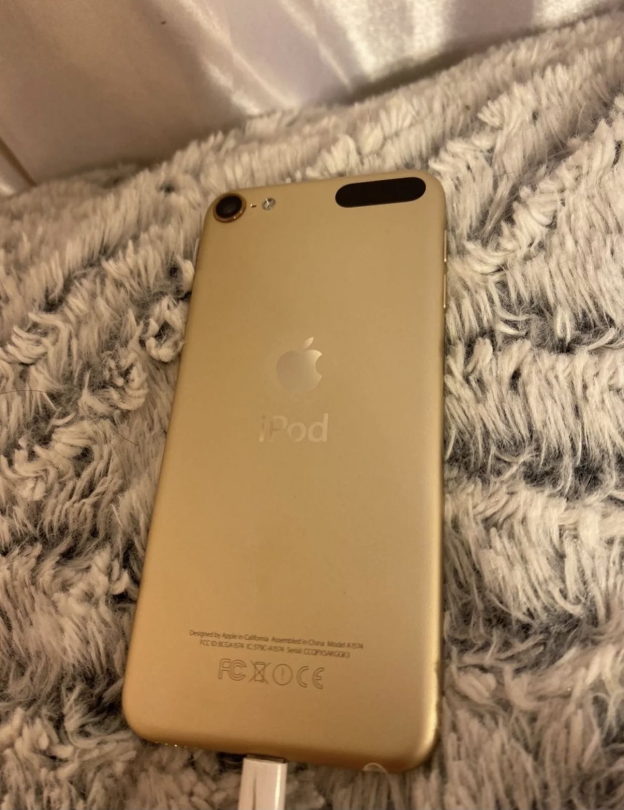 Apple iPod