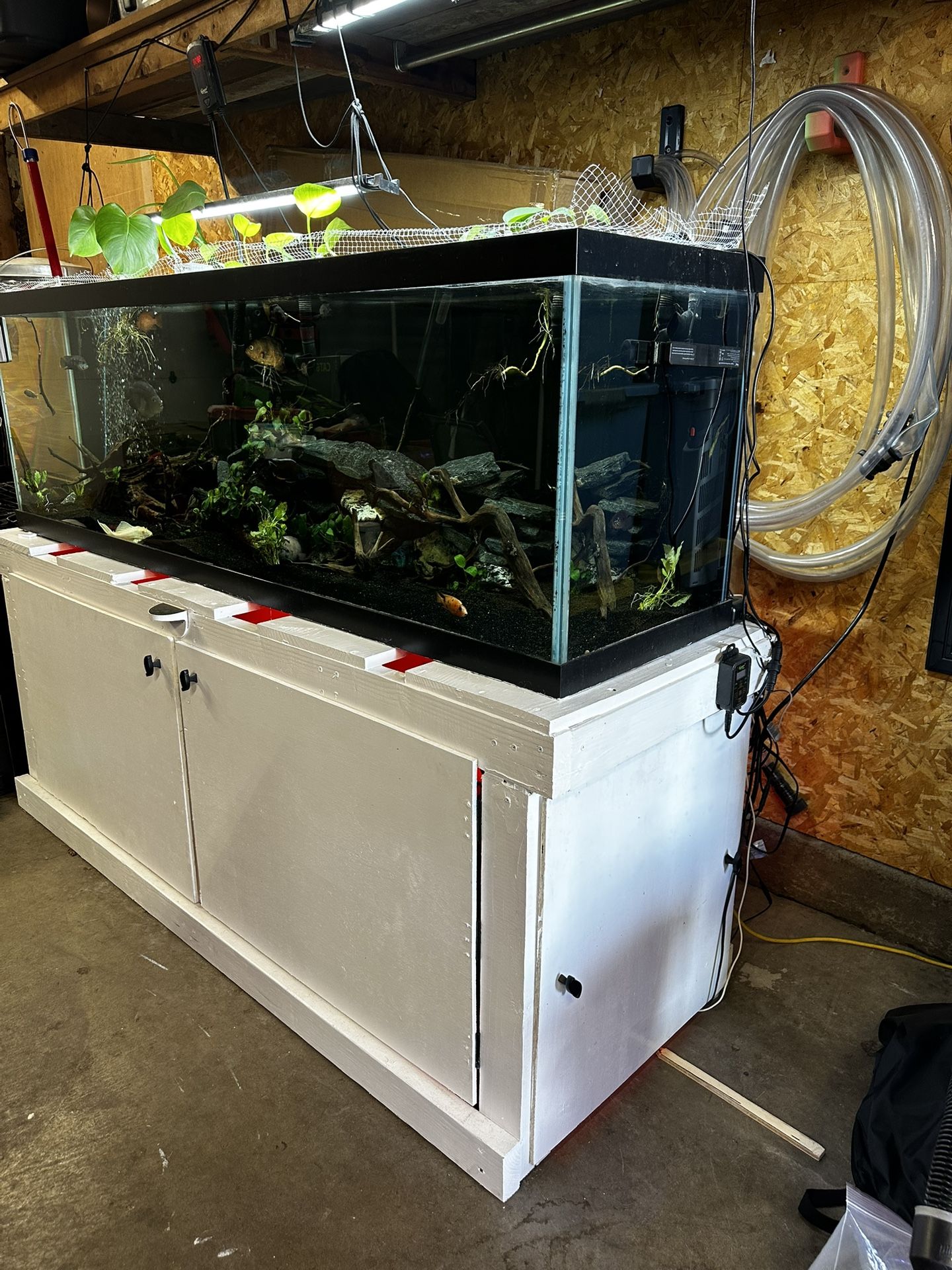 125 Gallons And Stand