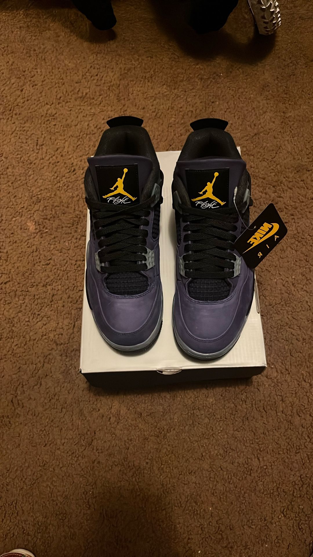 Jordan 4 Lake Show Size 8.5 Brand New