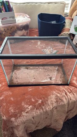 Glass terrarium with lid