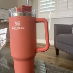 Coral Stanley Cup 