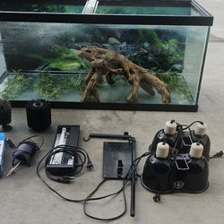 Aquarium Turtle Tank