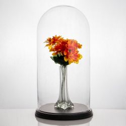 Bell Jar Glass Terrarium Display