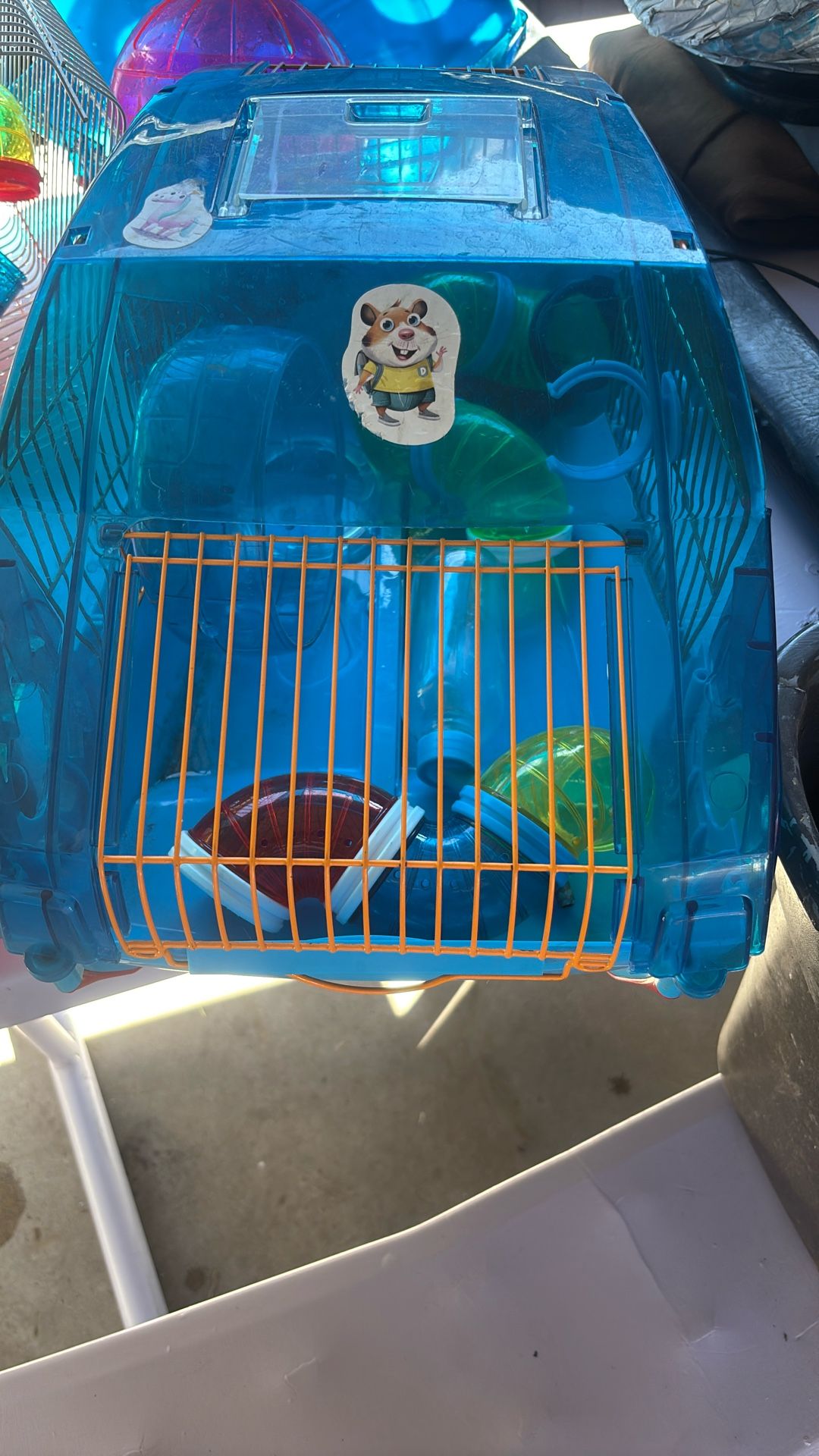 Diferentes Tipos De Casas Para Hámsters Y Juguetes