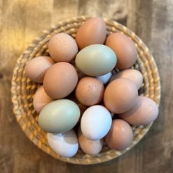 Fresh Organic Eggs
