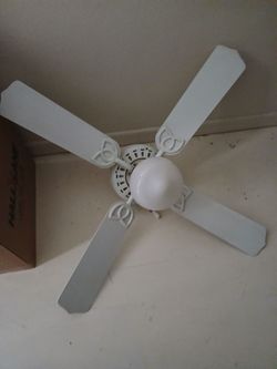 Fans