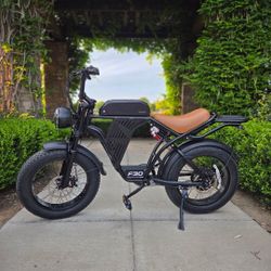 F30 Fat Tire Electric Bike 20 inch Wheels