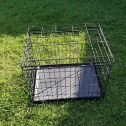 Dog Cage