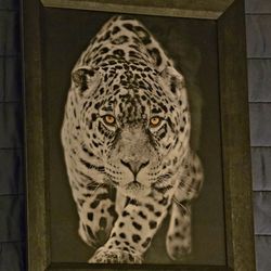 Lion, Tiger and Leopard 3D Poster Wall Art Decor Print Framed