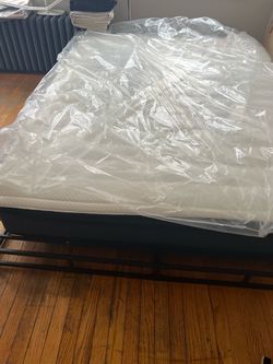 Queen Mattress and Box Spring $100