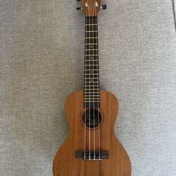 KALA Ukulele (Small)