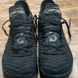 Nike Lebron 16 I’m King