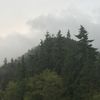 Little Mountain Scout