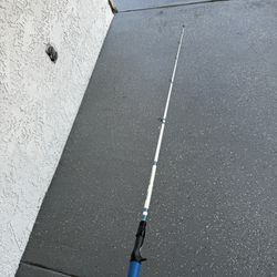 Shakespeare Excursion Fishing Rod