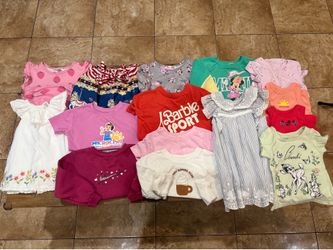 Toddler girl clothes bundle