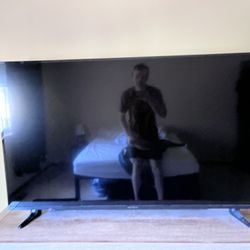 Insignia 58” 4k Fire TV, 6 Months Old