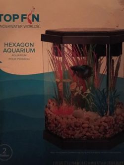 Hexagon aquarium