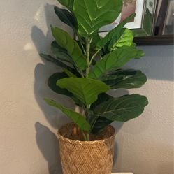 Boho Bamboo Waste Basket/plant Pot