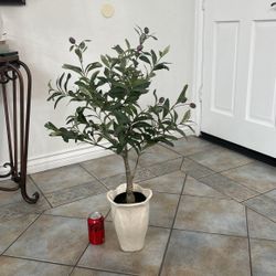 Faux olive tree, leaves and with ceramic base. 