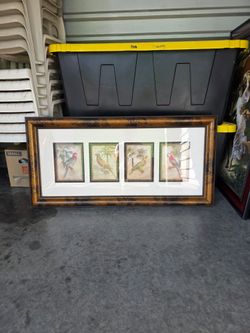 Parrot frame