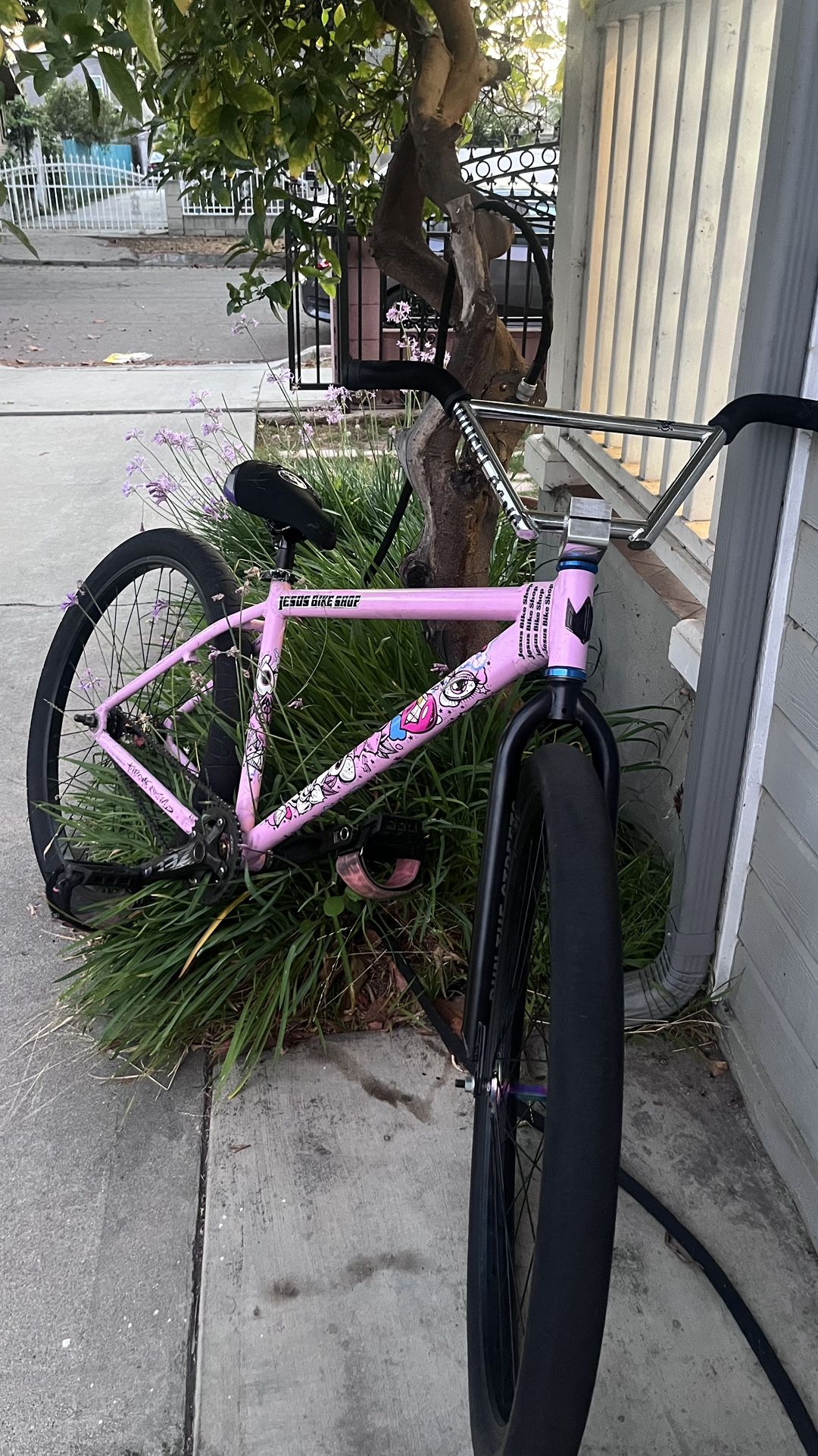 THRONE 29er (TRADES OR CASH)