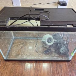 10gal Tank / Aquarium Accessories 