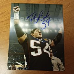 Tedy Bruschi Lot 