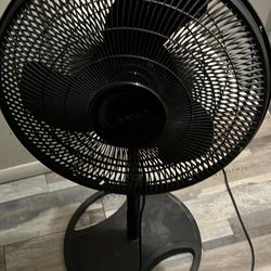 Fan 