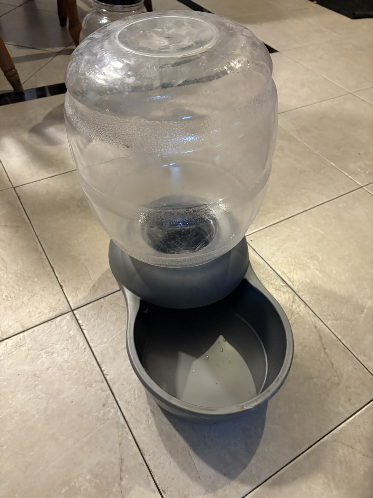 Large Capacity Dog Water Container