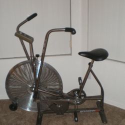 Schwinn Airdyne AD3 Exercise Bike

 

