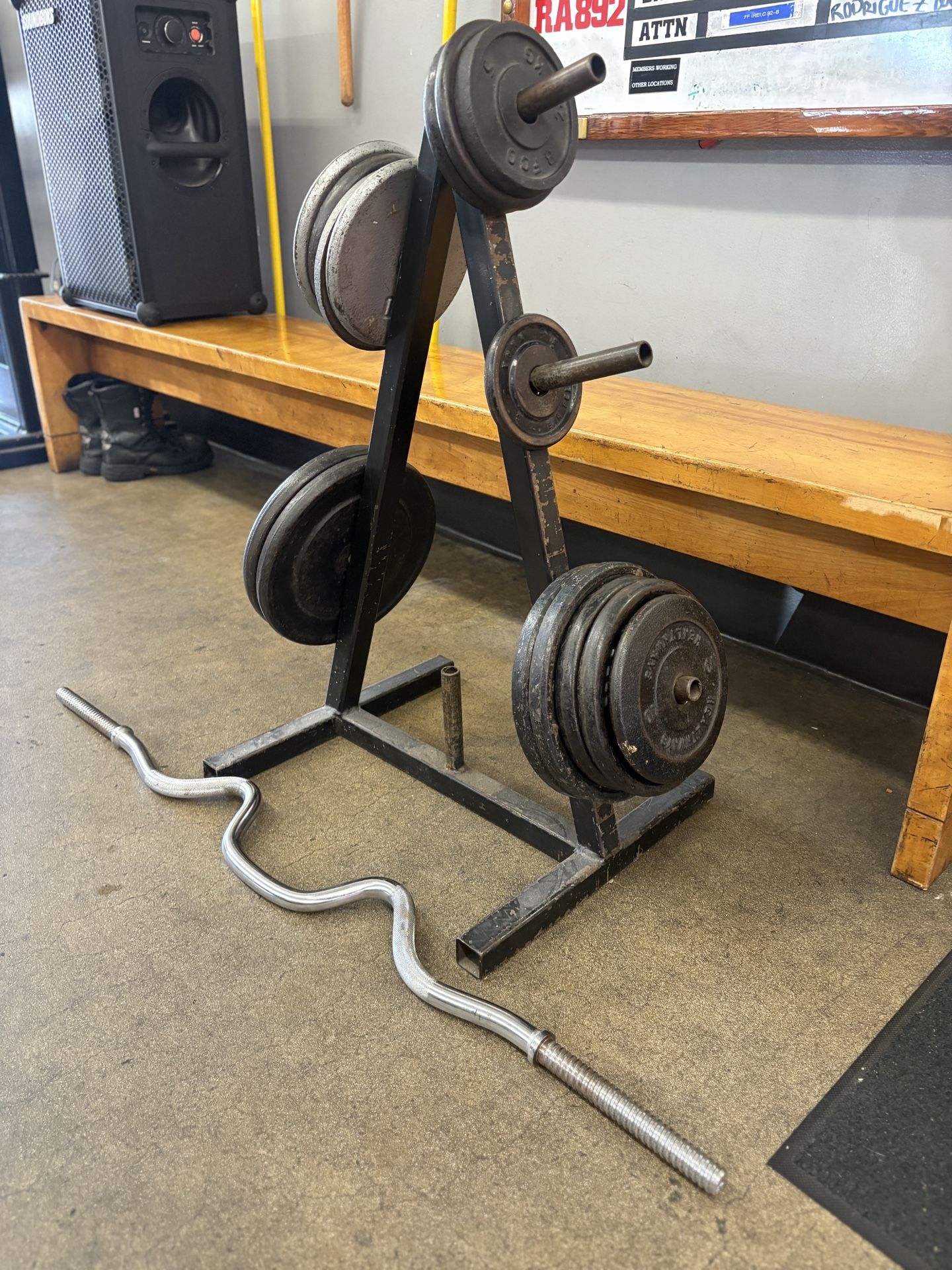 EZ Curl bar With Weights