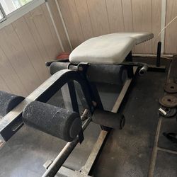 Weight Bench 