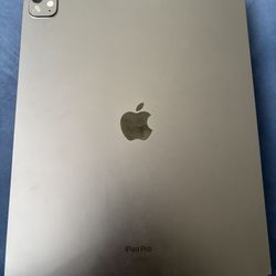13inch iPad Clean No Cracks Just Got Not To Long Ago Do Not Come Witch Charger 256gb Gotta Come To Me Or Meet Cash Only Looks Works Brand New