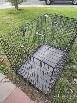Big kenel dog house