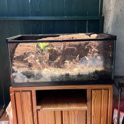 Planted Terrarium Bioactive Ecosystem 